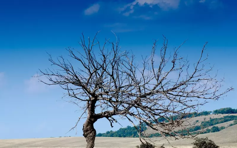 2019，只要干不死，就往死里干！