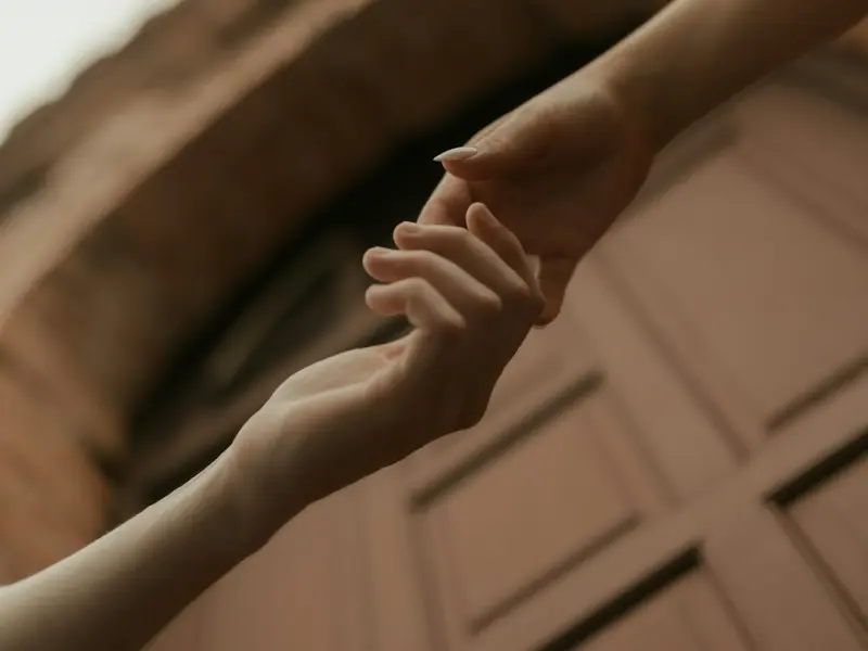 2019，我希望......