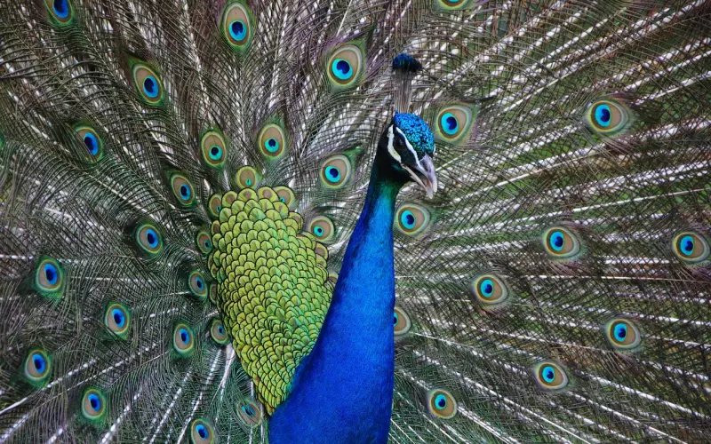 异国恋，联系变少是因为他变心了？