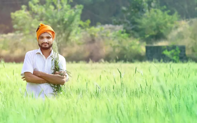 在男人心里：情人，老婆哪个重要？