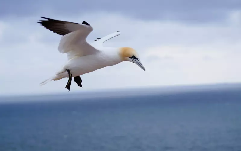 在人的一生中，你可以活的平凡，但却不可以活的平庸！