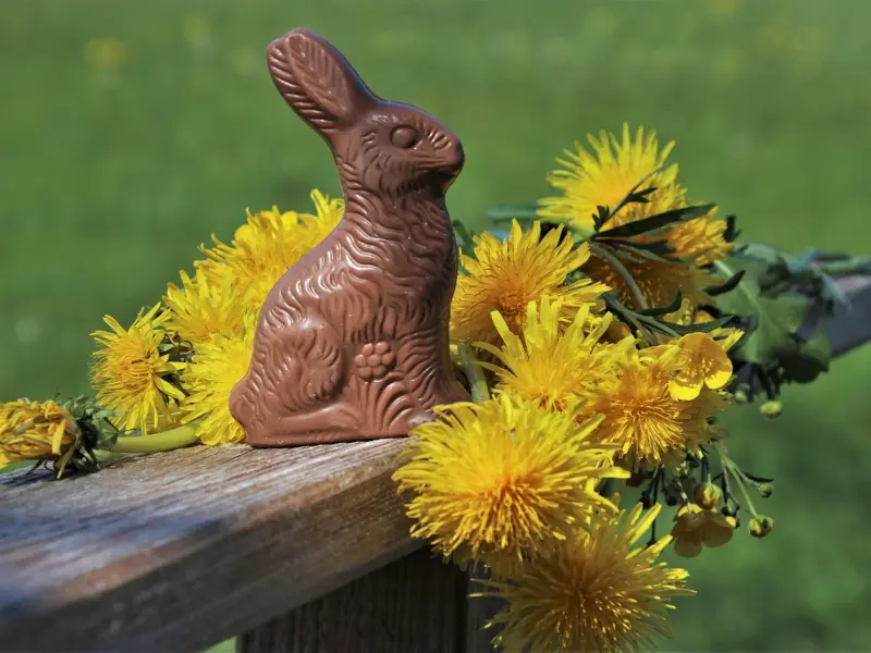 两性相处中，能为你这么做的男人，应该是动真情了