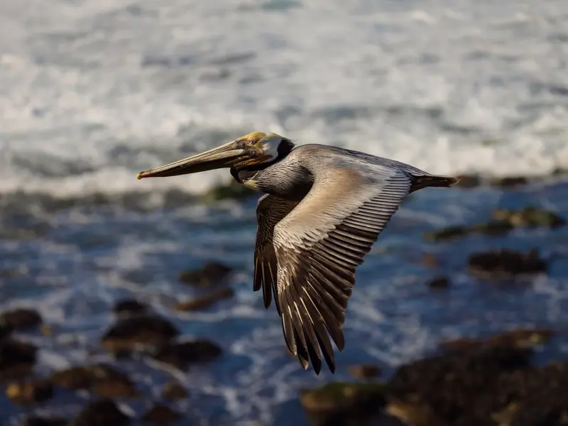 感情中，若你出现了这四种感受，还是趁早离开吧！