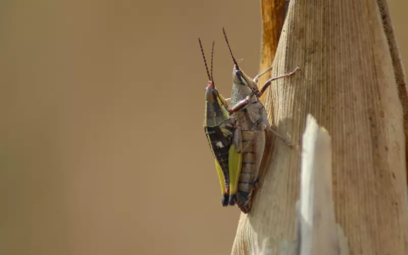 除了爱情，我们还有很多