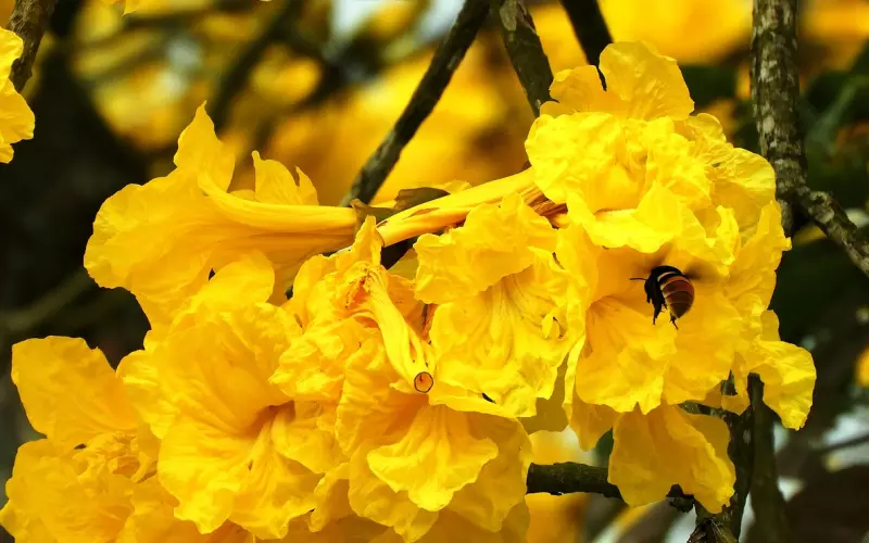 亲密关系中，所有的痛苦都是久别重逢