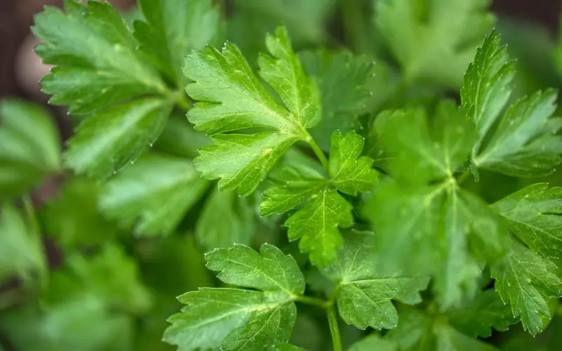 深度解析分手3大类型 对症下药挽回爱情