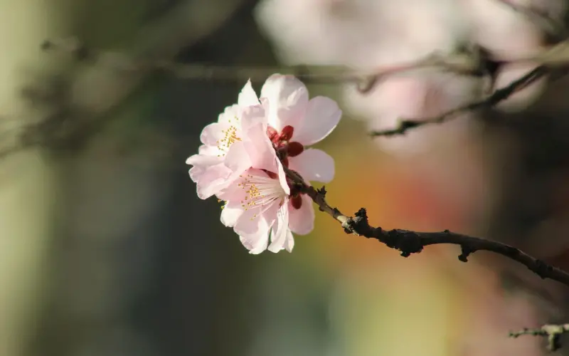 其实他想和你分手了