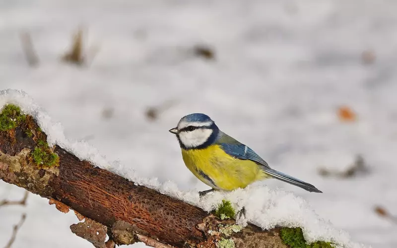 其实，谁都没闲着。