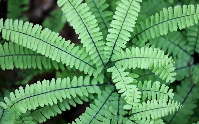 其实真正深情的女人一旦真正放下了，永远都不会再回头