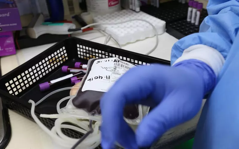 挽回其实你没有输