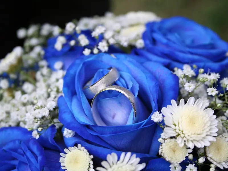 婆家面前，这三件事不能妥协！