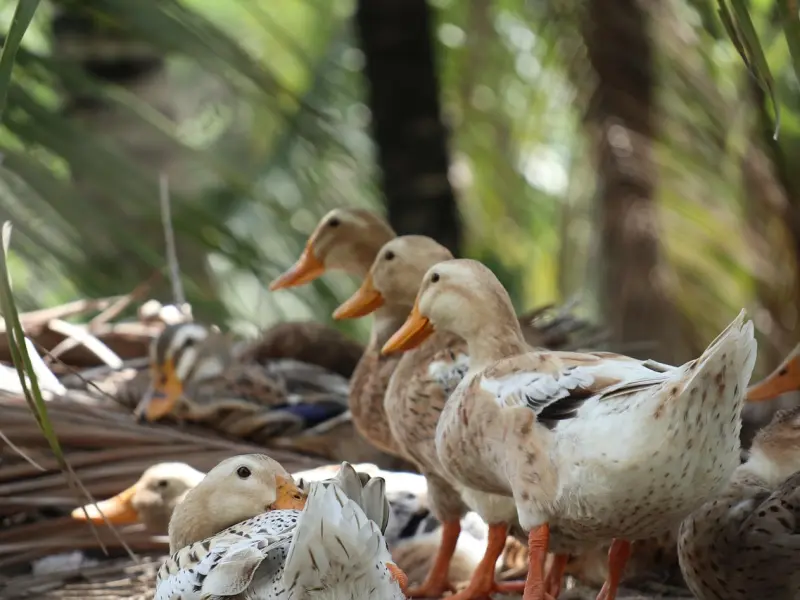 异性交往中，在这三个时期，最容易日久生情！
