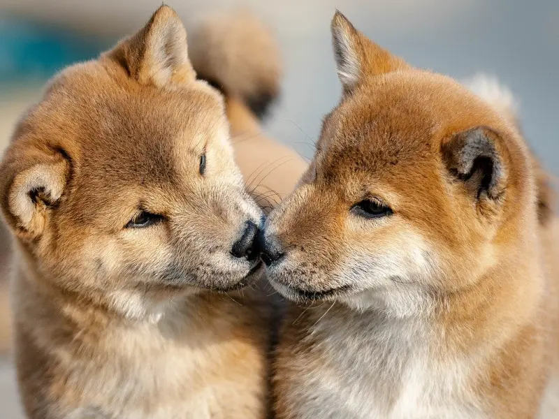 异性交往，男女对“这些”事情不避嫌，还说关系纯洁都是骗鬼的！