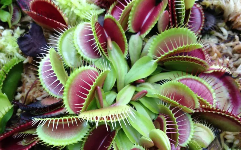 人生，需要学会忘