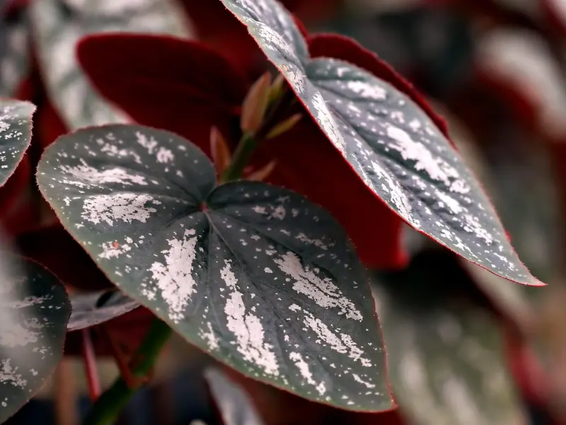 爱情当中，你有足够的责任感和安全感吗？