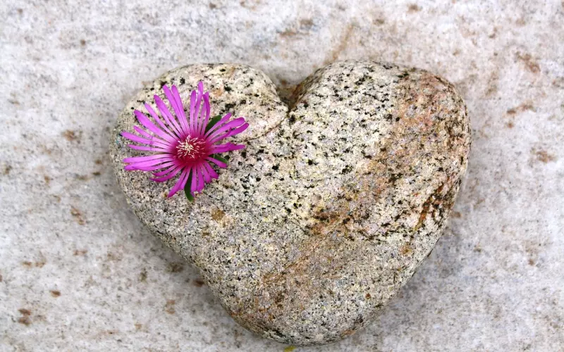 爱情中，满足对方这 5 项核心心理需求，你才能真正得到他的心！