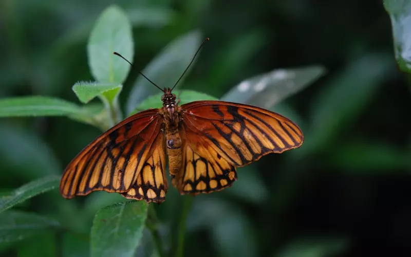 爱情里少点理所当然，多点换位思考