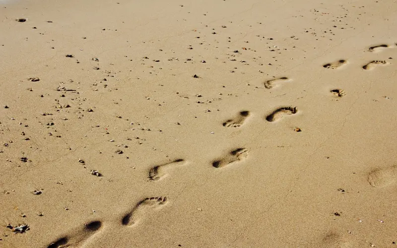 在爱情里，出场顺序真的很重要...