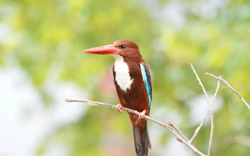 爱情里，女人懂得这个技巧，能稳稳的锁住男人心