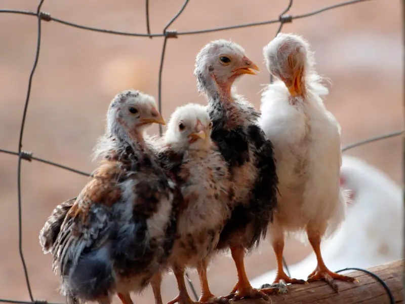 在婚姻里，稳定和谐的夫妻关系靠的不是隐忍