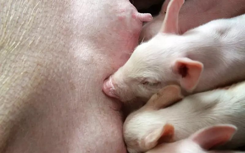 在挽回婚姻咨询中，如果您找对了能负责的为您全方位咨询的老师，过程中能让您成长起来，即便挽回不了前任，有可能有更大的机遇存在！