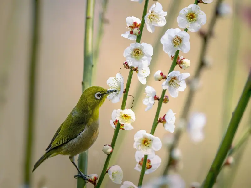 为了报复前任，我把前任的闺蜜给睡了…