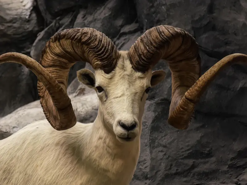 近几年很多电视台推出的很火暴的《***婚姻调解电视栏目》是很难解决当事人实质的根源性问题的！