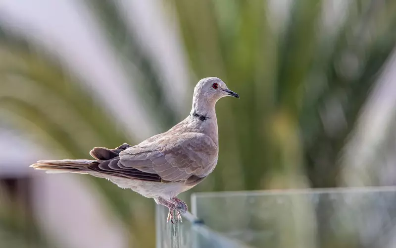 在挽回中，到底是什么阻碍着你再次得到爱情？