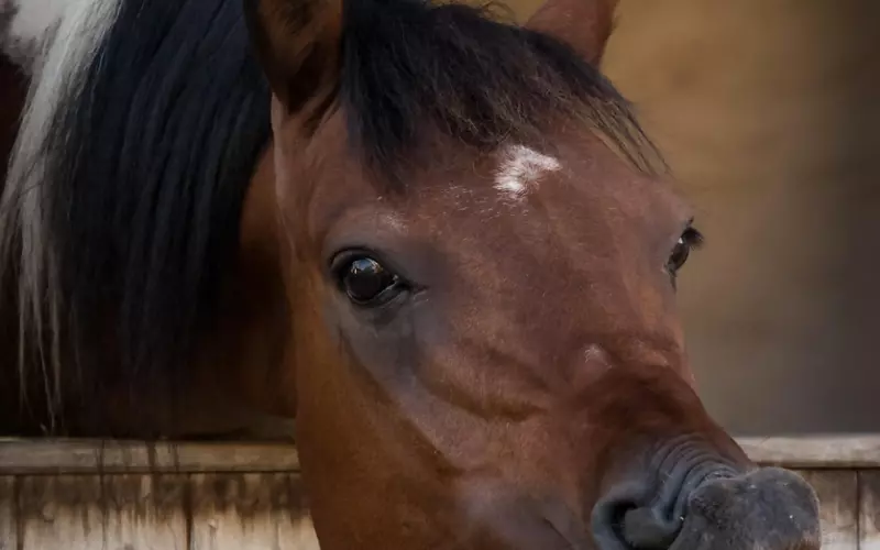 ​挽回中，怎样的付出才能得到回应？