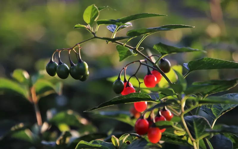 在挽回爱情里，有一种致命的错误，叫不求回报