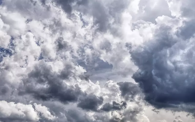 感情里，情绪稳定是一种巨大的能力