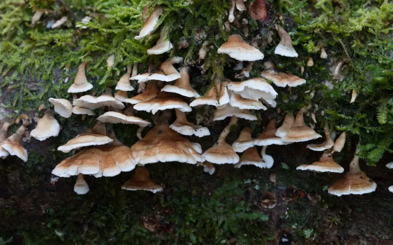 分手2年，他换了4个女朋友，我们好像从来没有正式告别！