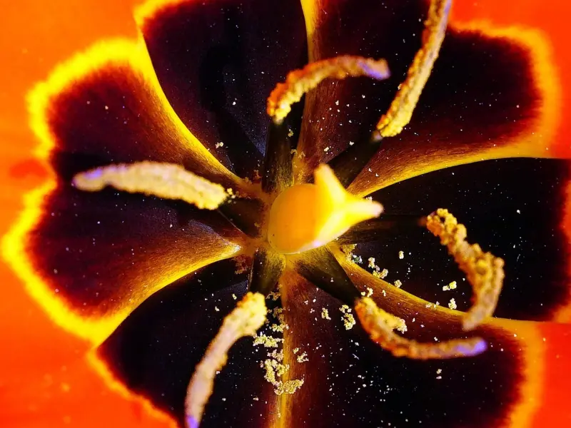 在男人眼里，成熟女人应该具备哪几种能力