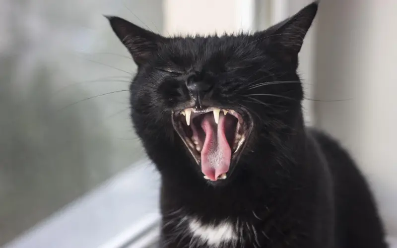 在不喜欢你的人眼里，你的喜欢什么都不是