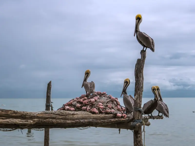 在女人眼里，一个成熟男人需要具备哪几种能力