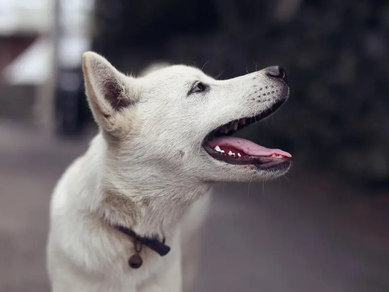 面对真性分手，再多的关心在对方看来也是虚情假意