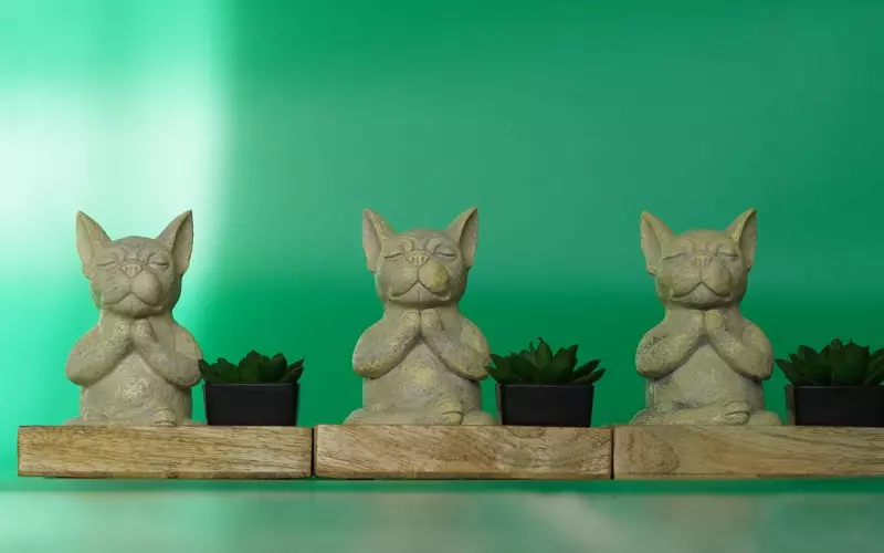 挽回中，别让这三个小心思害了自己