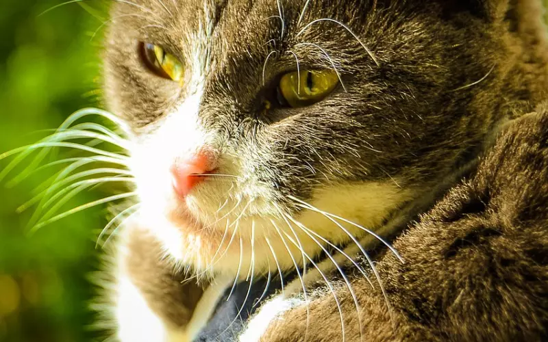 挽回中，“炮友”应该如何转正？