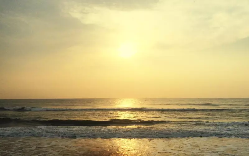 挽回过程中，你有哪些自欺欺人的行为？