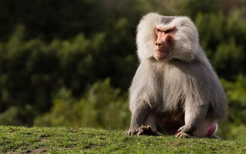 挽回男友过程中，女生这些作死行为要不得！