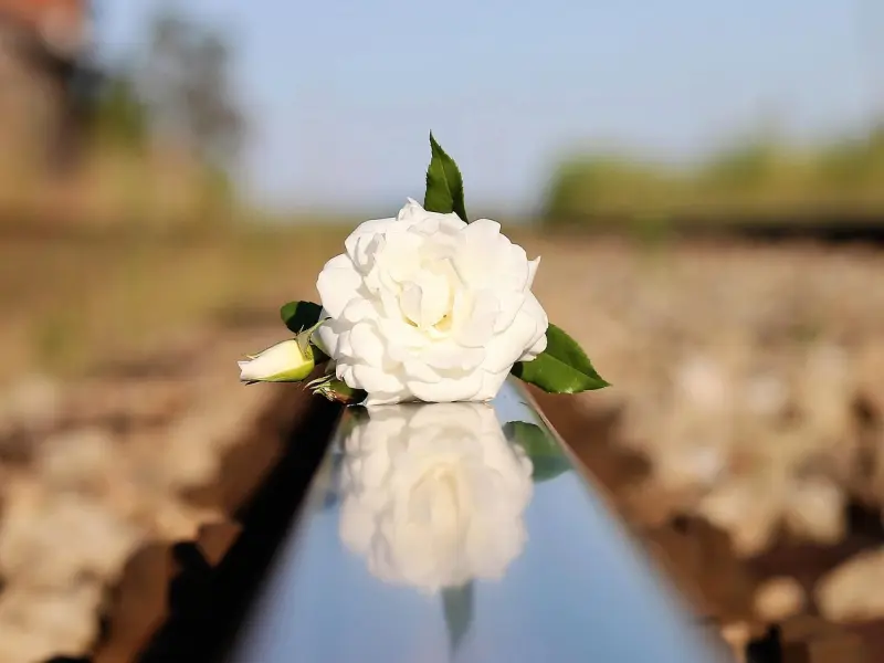 两性交往，女人只有把你当“老公”，才能让你触碰到的3个地方