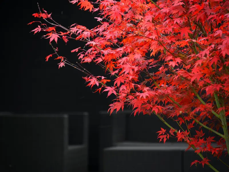 男女感情中，女人最害怕男人做这3件事，且行且珍惜