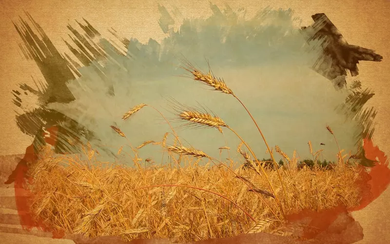 分手后的三个阶段，抓住最佳时机挽回男友！