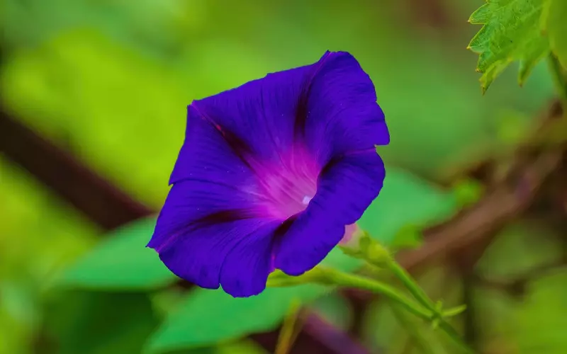 女人这3个阶段，有情有欲，如饥似渴，比虎狼还猛