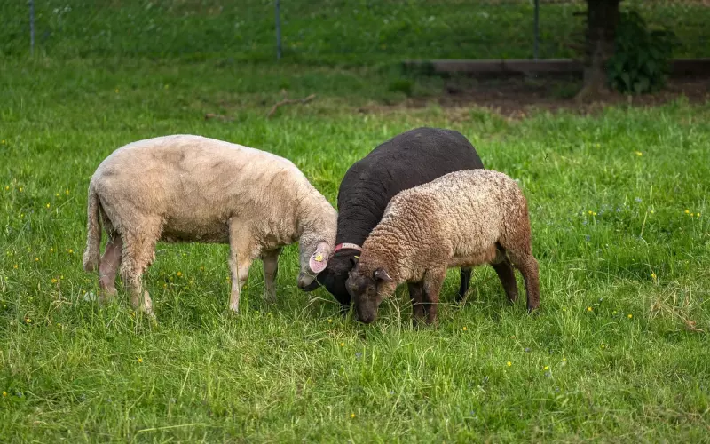 这三种婚姻，虽然两个人还在一起，但已经没有了感情