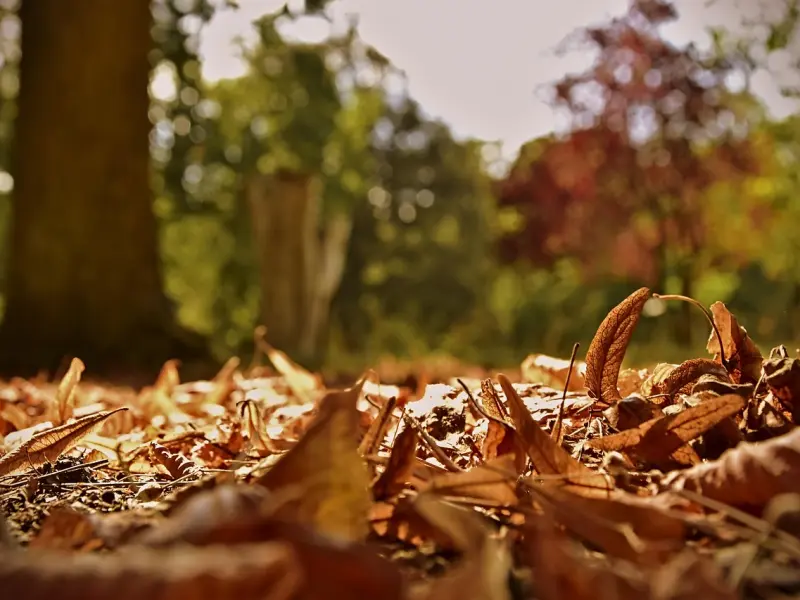 这两种情况分手，挽回十分简单！