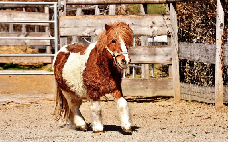 挽回前任这种情况下，断联不一定有用！