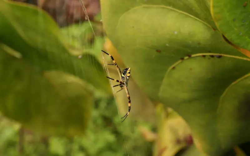 “在这段高攀的关系里，我连回娘家都不配？”