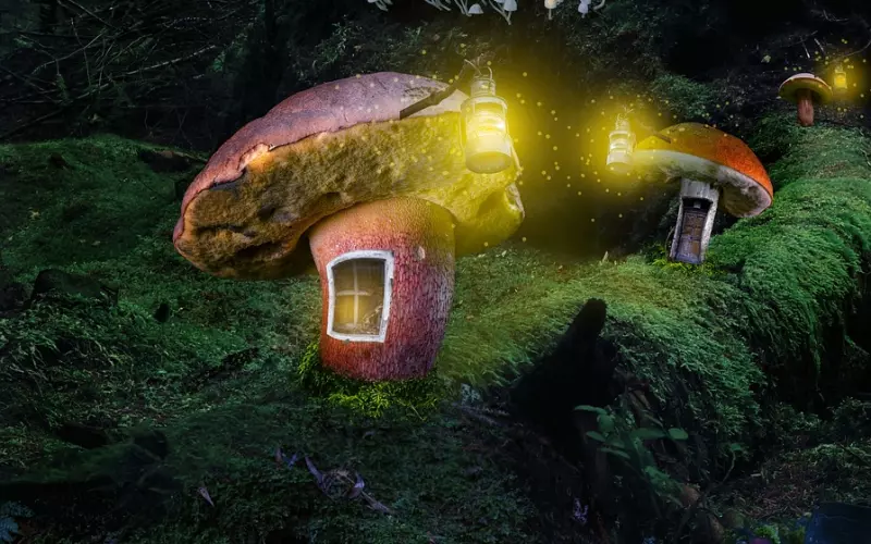 ?这辈子，但求有人懂，有人疼