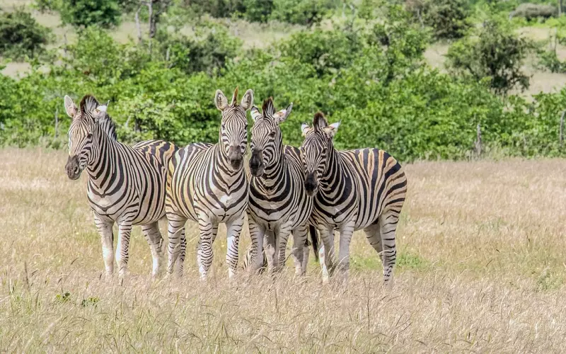 在这陌生的城市，发生的一个和“麻辣烫”有关的故事